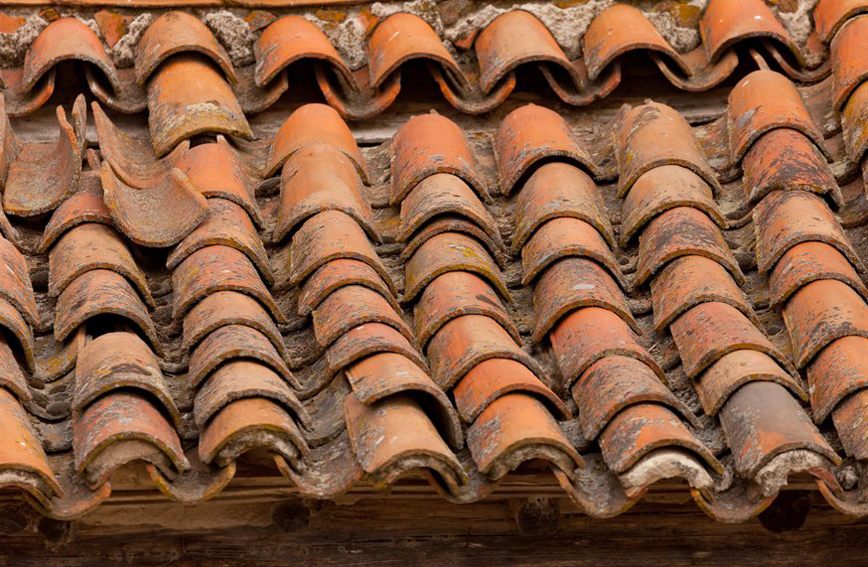 3 Ways To Maintain Your Roof – Expert Advice for Roofing Company in Fortworth