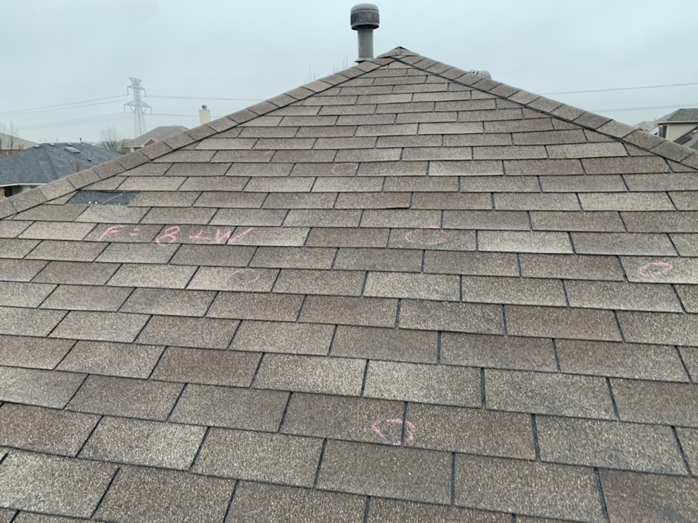 Roof Inspection: Everything You Need to Know About It