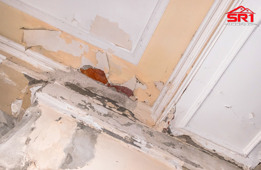 7 Quick Things to Do If Your Roof Is Leaking