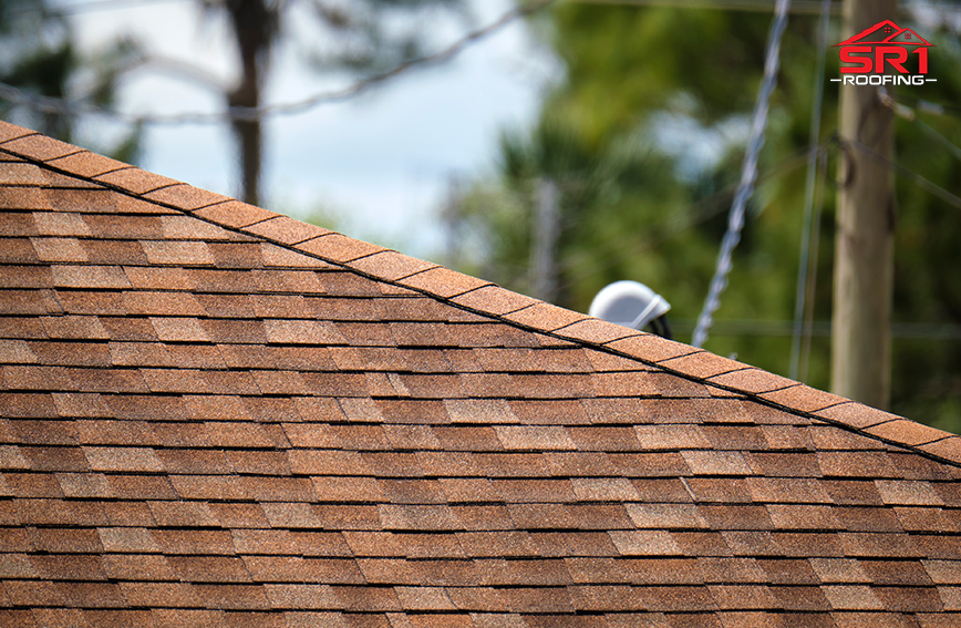 The High Cost of Neglecting Roof Maintenance and Its Effect on Your Warranty